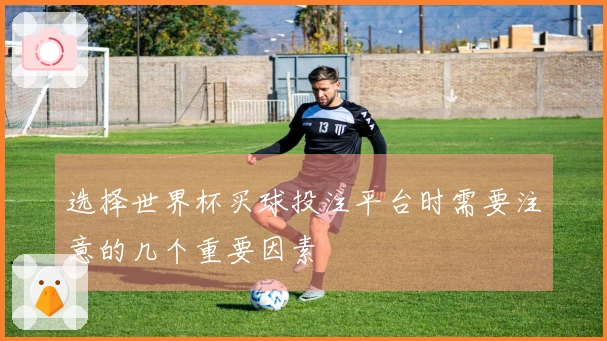 选择世界杯买球投注平台时需要注意的几个重要因素