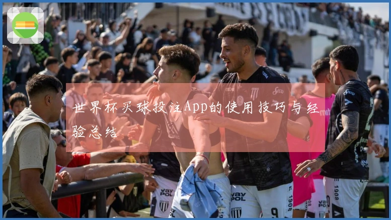 世界杯买球投注App的使用技巧与经验总结