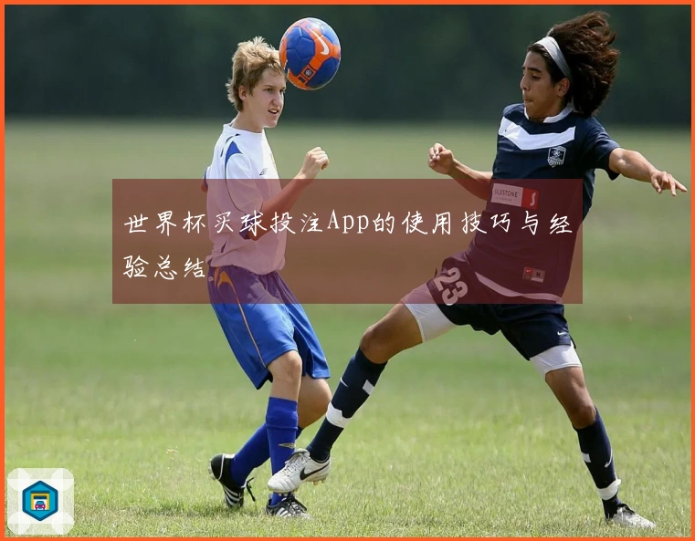 世界杯买球投注App的使用技巧与经验总结