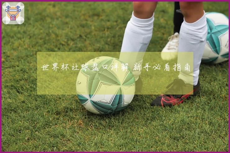 世界杯让球盘口详解 新手必看指南