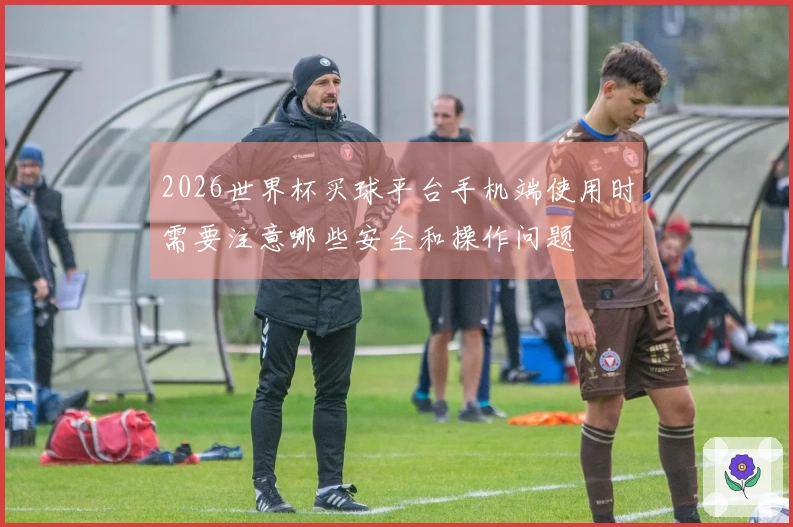 2026世界杯买球平台手机端使用时需要注意哪些安全和操作问题