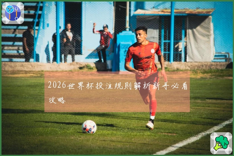 2026世界杯投注规则解析新手必看攻略