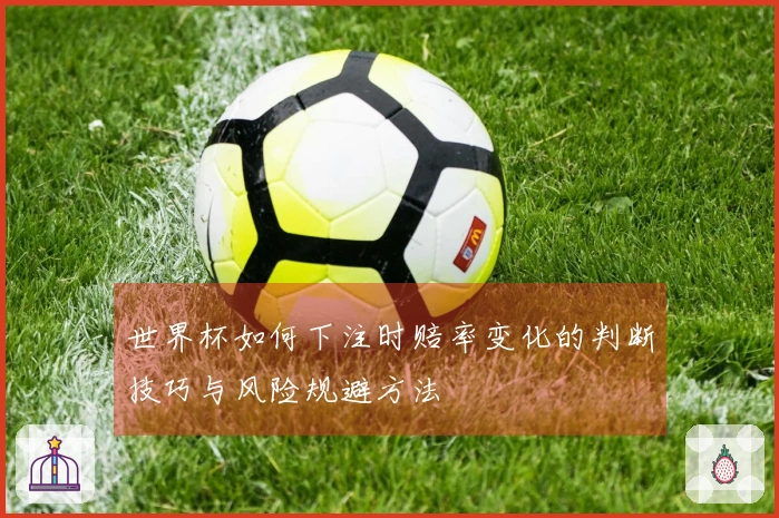 世界杯如何下注时赔率变化的判断技巧与风险规避方法
